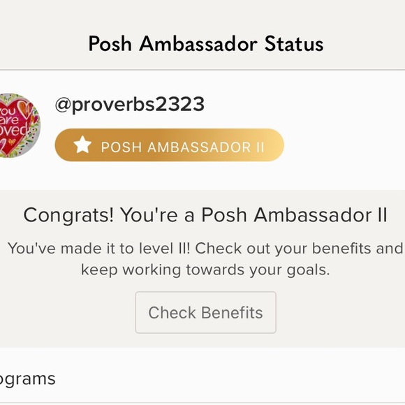 ⭐️ Posh Ambassador II Gold Star ⭐️ - Picture 2 of 4